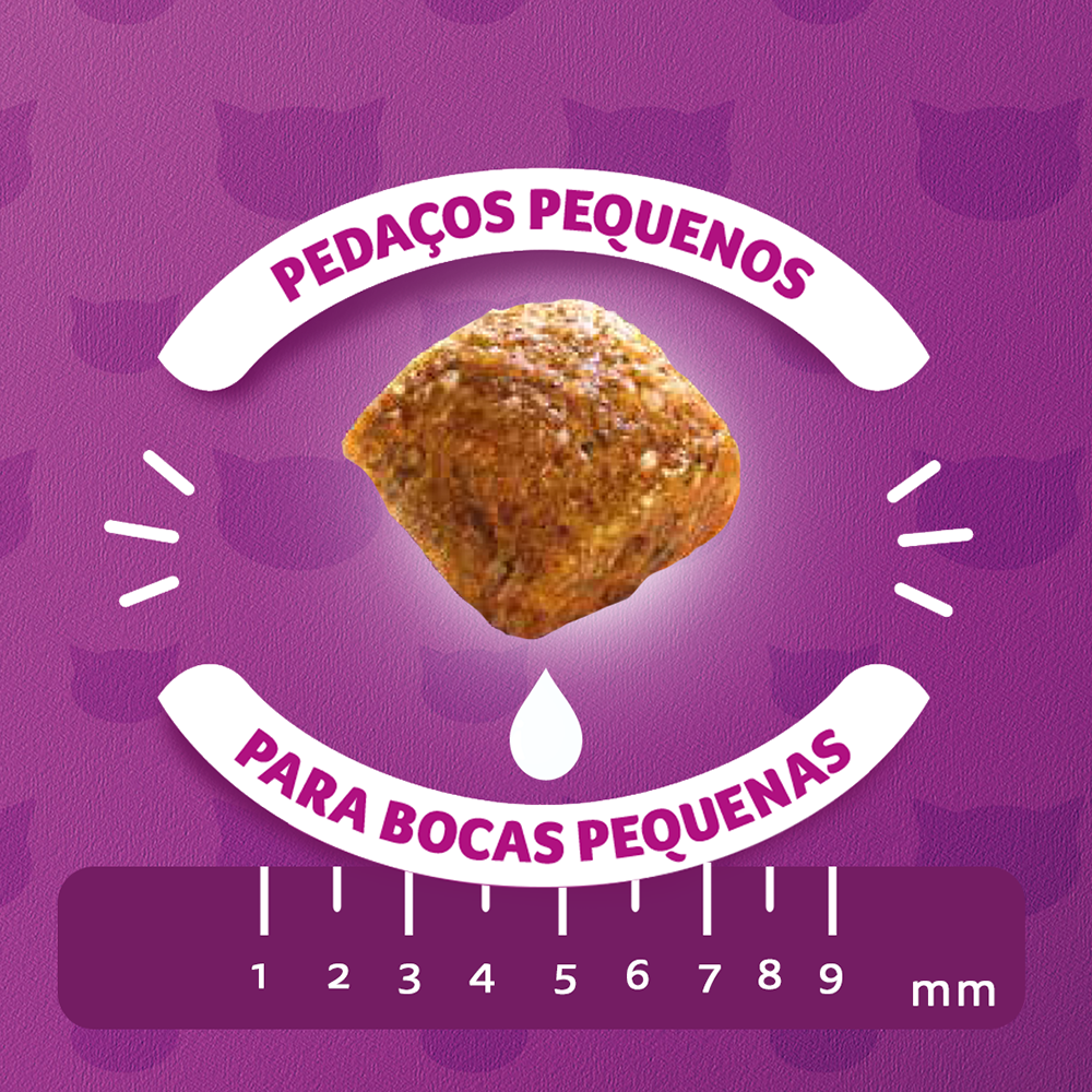 Ração Seca para Gatos Filhotes WHISKAS® Carne e Leite - 4