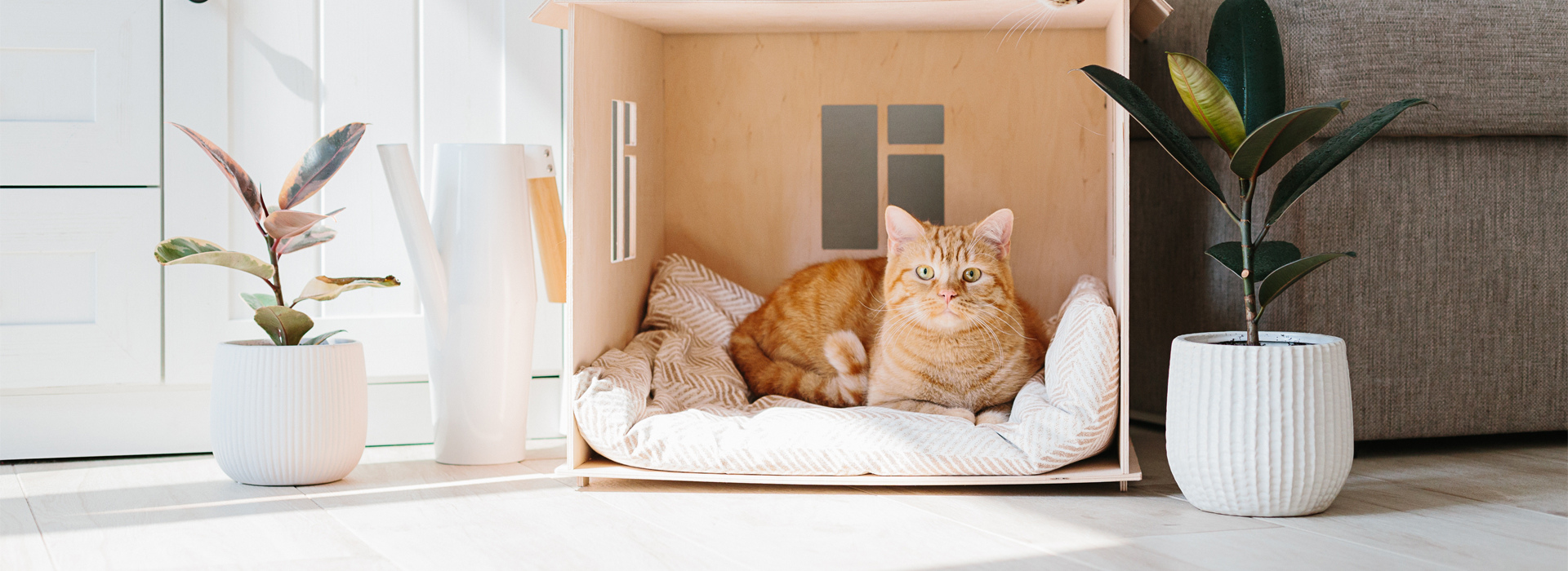 Um gato de pelo amarelo e algumas listras em tons mais escuros deitado em sua toca de madeira olhando fixamente para a câmera, ao lado dois vasos de planta e um sofá cinza.