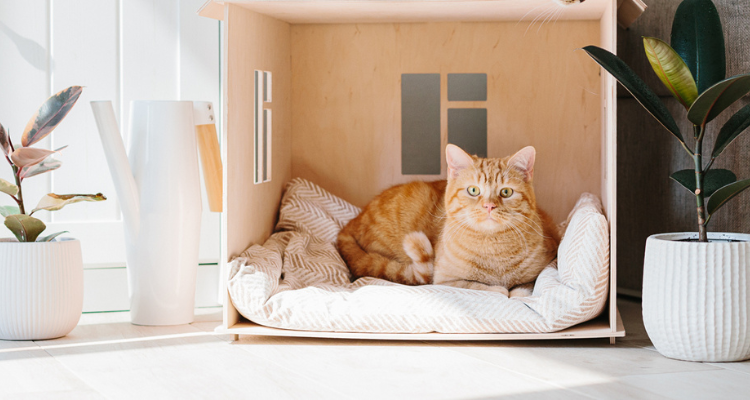 Um gato de pelo amarelo e algumas listras em tons mais escuros deitado em sua toca de madeira olhando fixamente para a câmera, ao lado dois vasos de planta e um sofá cinza.