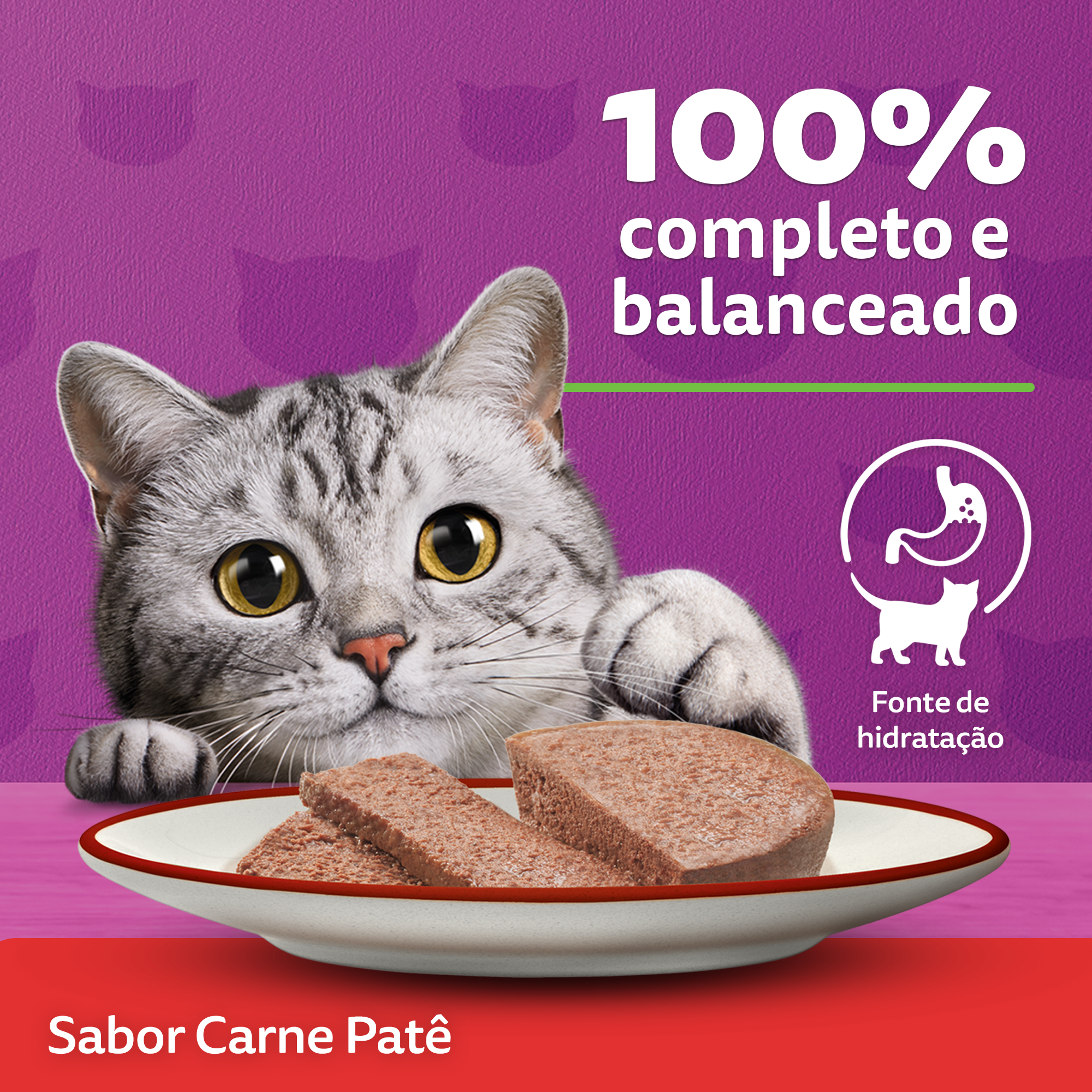 Ração Úmida para Gatos Adultos WHISKAS® Lata Patê de Carne - 3