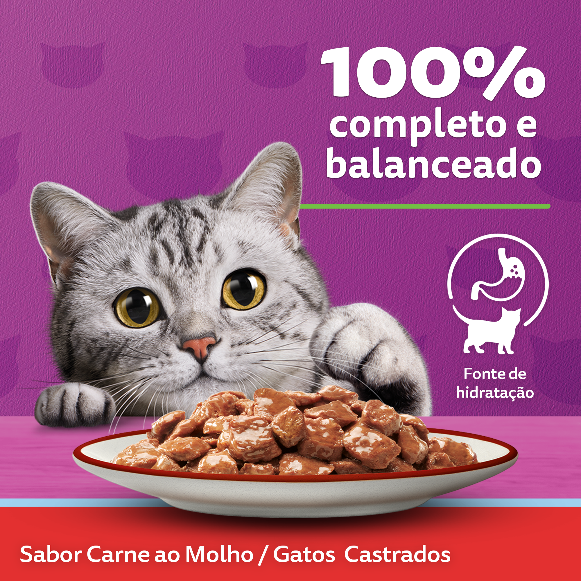 Ração Úmida para Gatos Adultos Castrados WHISKAS® Sachê Carne ao Molho - 3