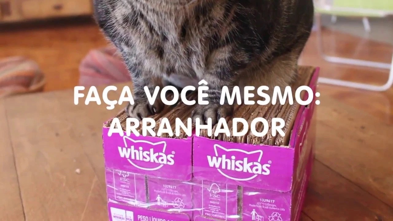 Arranhador para gatos | WHISKAS® + Cansei de ser gato