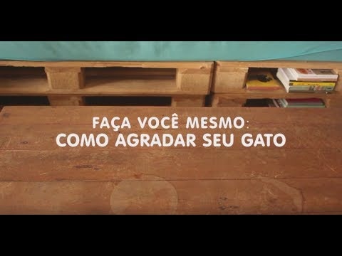 Brinquedo para gato | WHISKAS® + Cansei de ser gato
