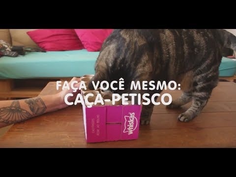 Caça - Petisco para gatos | WHISKAS® + Cansei de ser gato