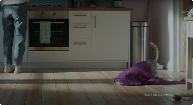 Capa do vídeo da seção boa alimentação