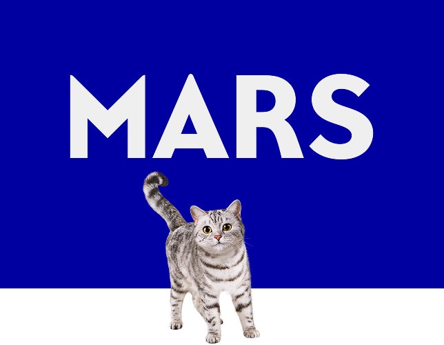 Fundo azul com a palavra Mars no centro e abaixo dela um gato listrado