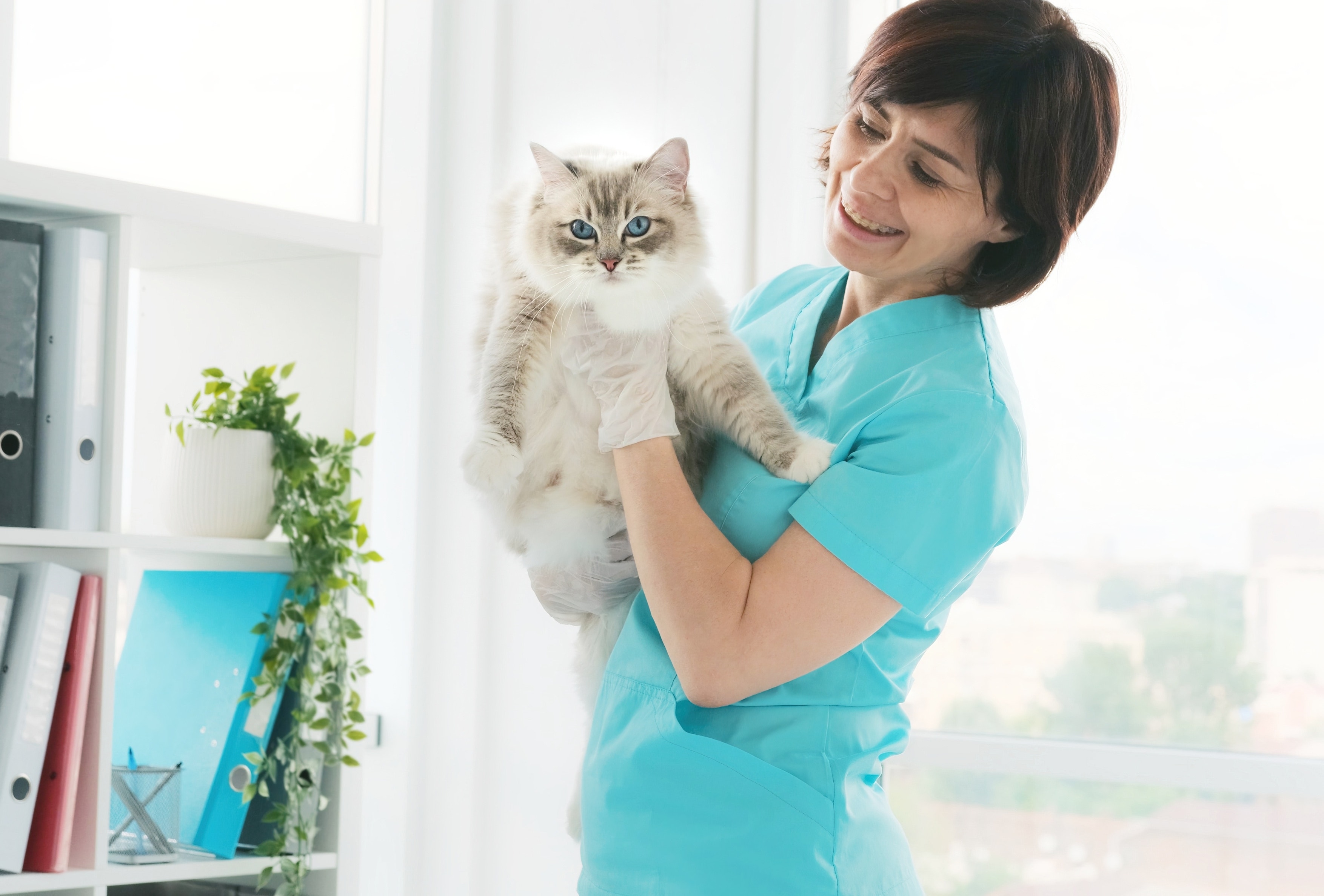 Veterinária segurando um gato felpudo no colo dentro do consultório, demonstrando o cuidado e bem-estar no atendimento clínico.