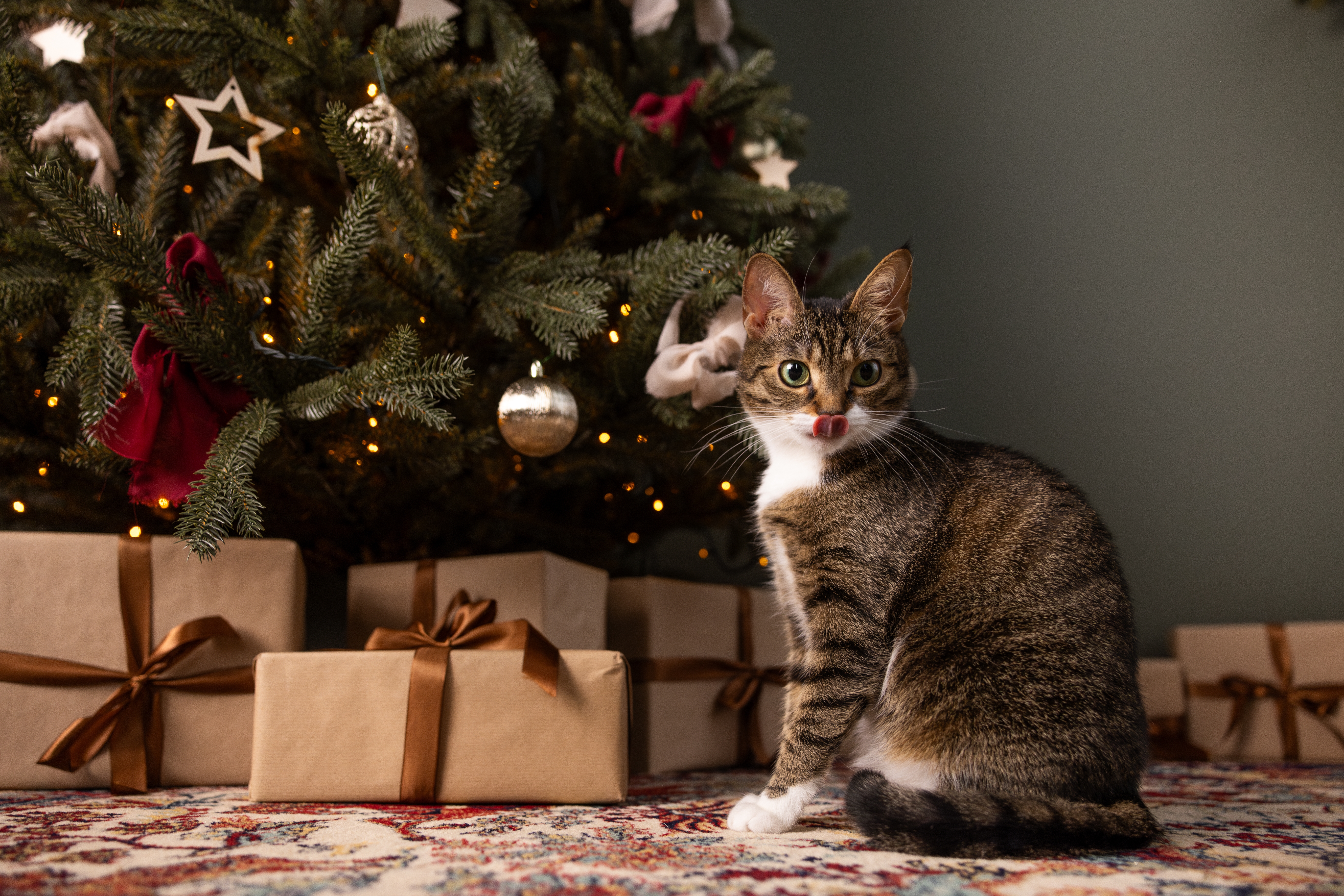 Gato malhado sentado ao lado de presentes embrulhados com papel e fita marrom e árvore de natal enfeitada. Ao fundo, uma parede cinza.