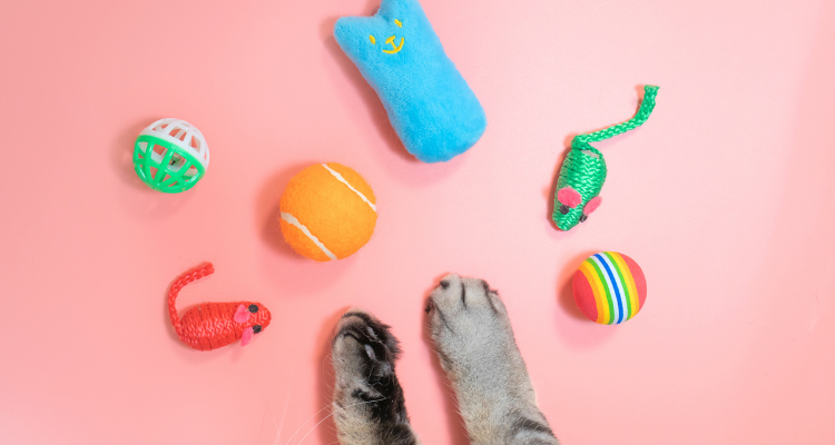 Imagem de brinquedos de gato, como ratos de brinquedo e bolinhas coloridas, ao lado das patas de um gato na cor cinza, com o fundo da imagem na cor rosa.