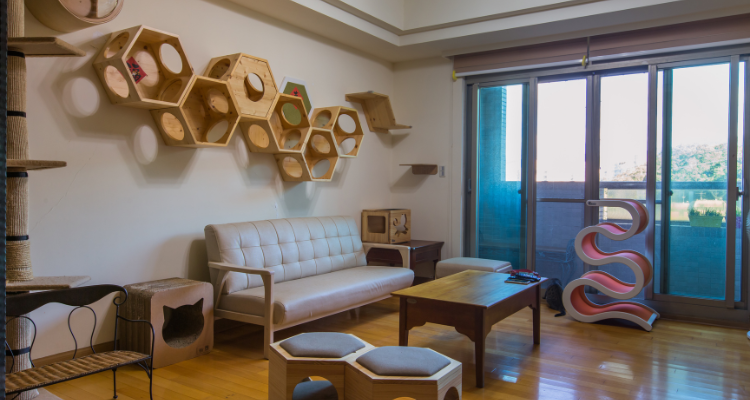 Uma sala ampla com sofá, poleiros na parede, tocas de madeira e arranhadores.