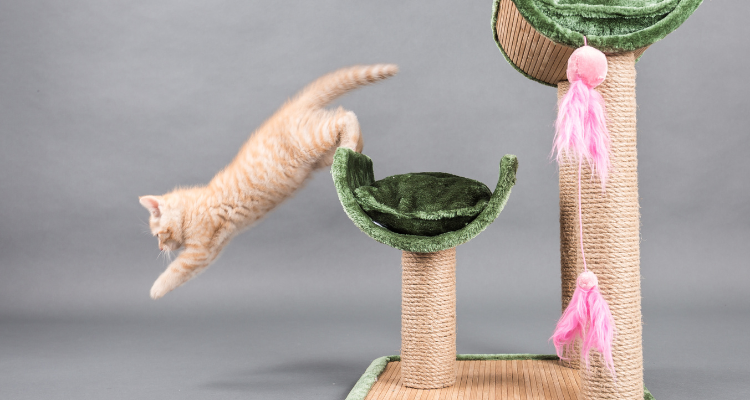 Dois arranhadores e um gato de cor bege saltando de um deles em fundo cinza.